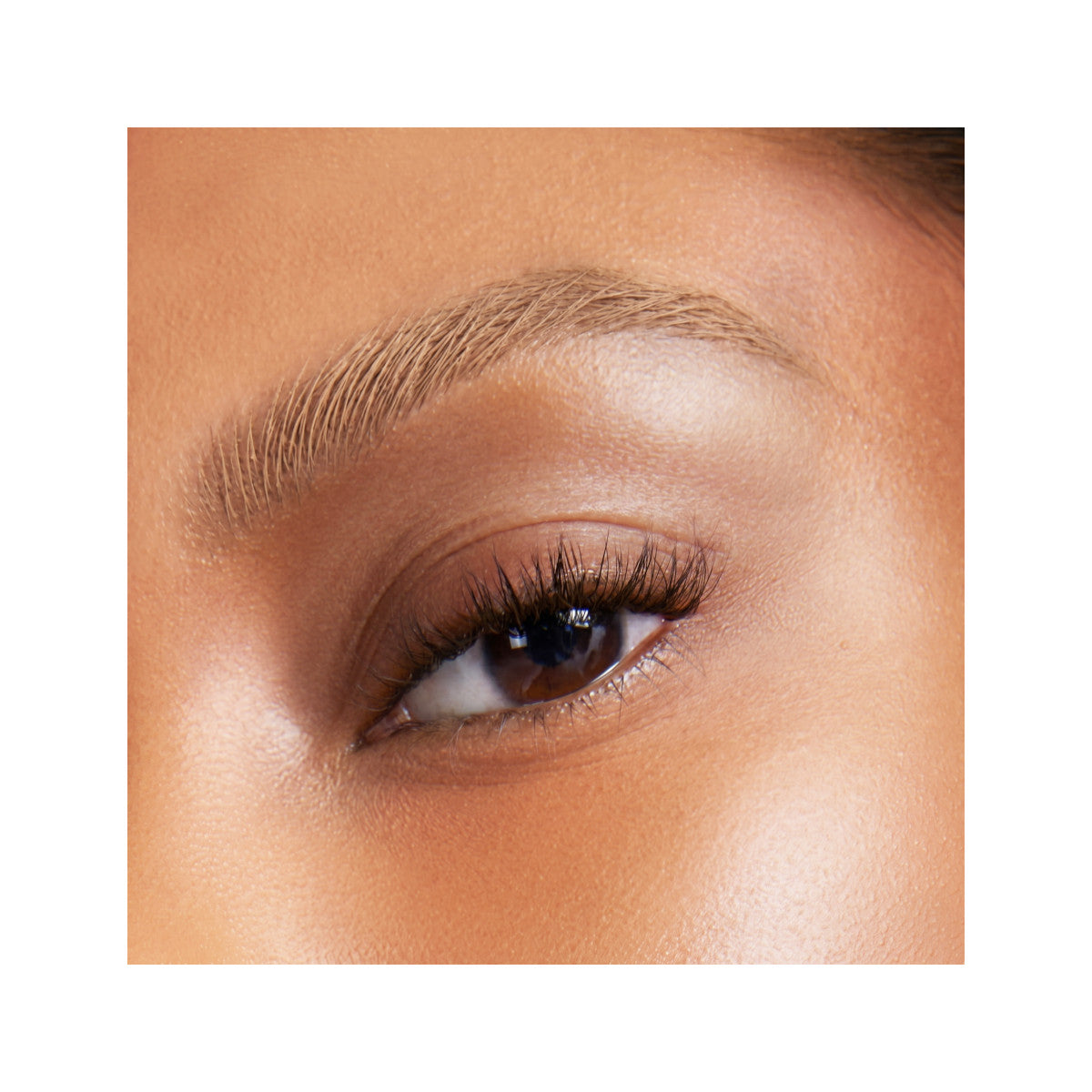 invisibrow-gel-22-22-2026_PMG_Eyes_Invisibrow_Shade3_Macro_Edits_Biel_1 Invisibrow Gel