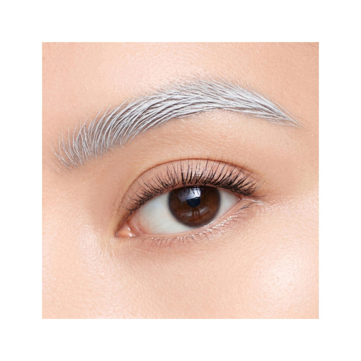 invisibrow-gel-38-38-2026_PMG_Eyes_Invisibrow_Shade5_Macro_Edits_Biel_1 Invisibrow Gel